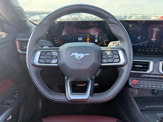 Ford Mustang — Фото автомобиля 29