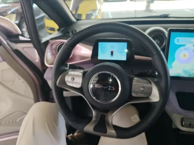BYD Dolphin — Фото автомобиля 10