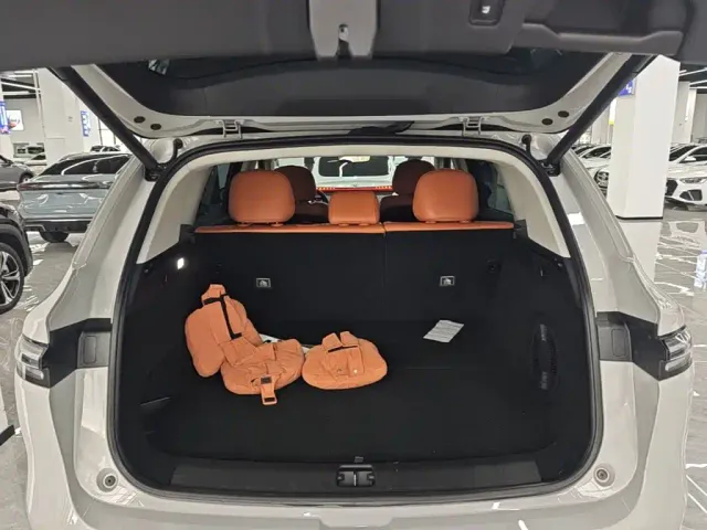 Leapmotor C10 — Фото автомобиля 18