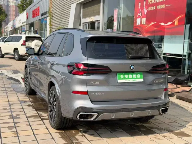 BMW X5 — Фото автомобиля 19
