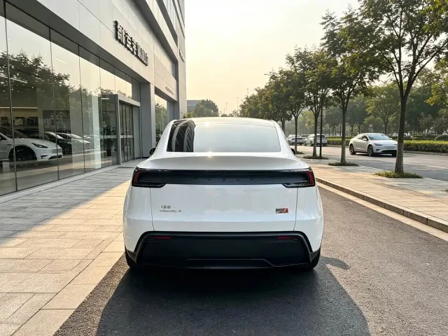 Tesla Model Y — Фото автомобиля 8