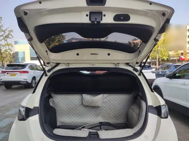 BYD Dolphin — Фото автомобиля 18
