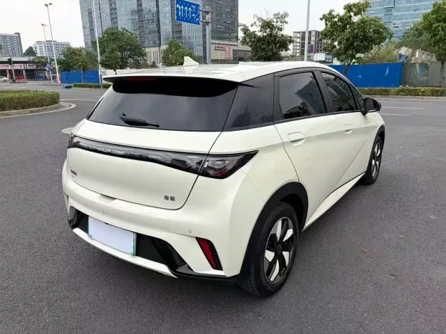 BYD Dolphin — Фото автомобиля 6