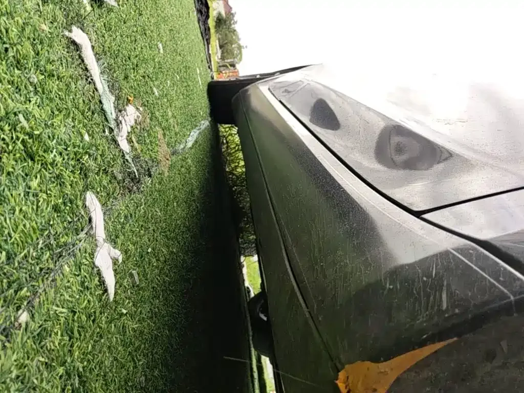 Tesla Model 3 2021 Standard Range Rear-Wheel Drive Upgrade 3D6 — Фото автомобиля 18