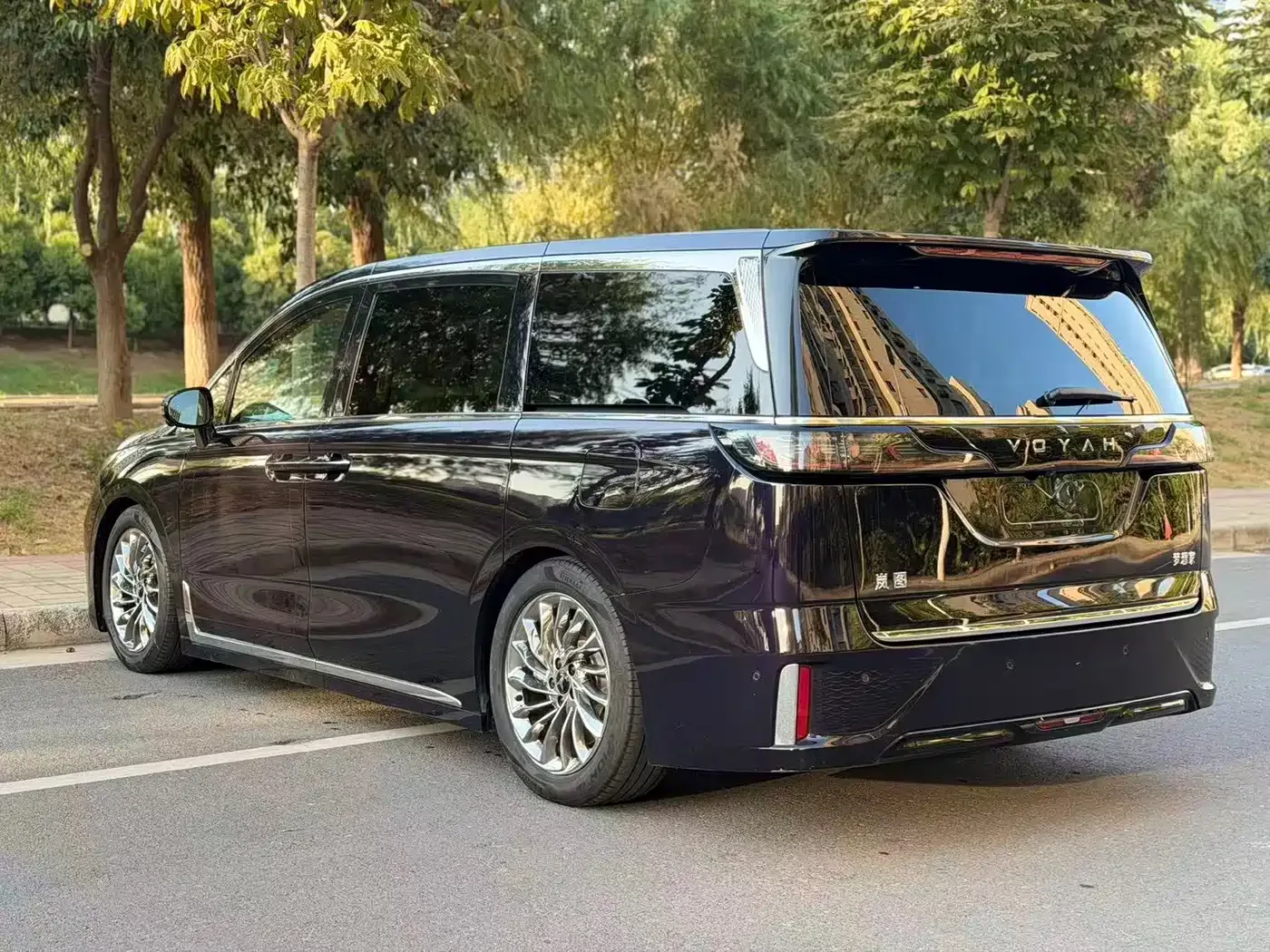 Voyah Auto Voyah Dreamer 2024 PHEV Extended Range Flagship Edition — Фото автомобиля 9
