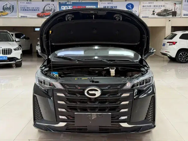 GAC Trumpchi Trumpchi M6 2021 PRO 270T DCT Luxury Edition — Фото автомобиля 7