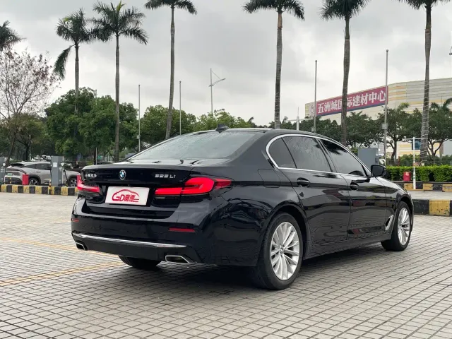 BMW 5 Series — Фото автомобиля 9