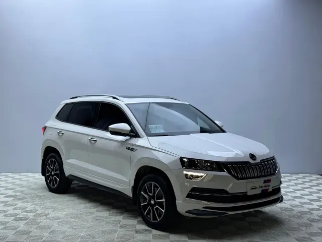 Skoda Karoq — Фото автомобиля 3