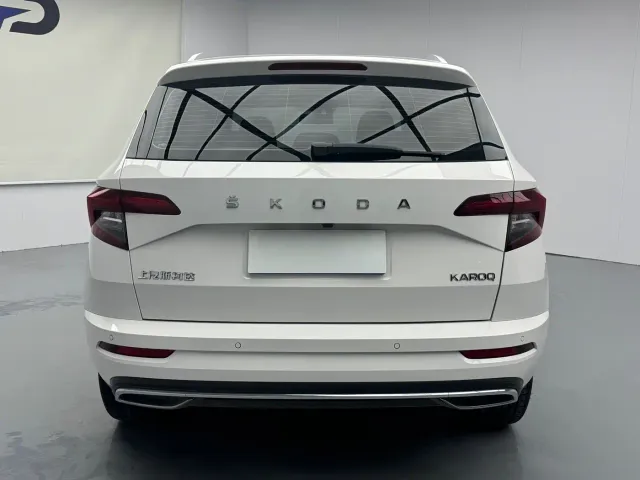 Skoda Karoq — Фото автомобиля 18