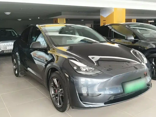 Tesla Model Y — Фото автомобиля 3