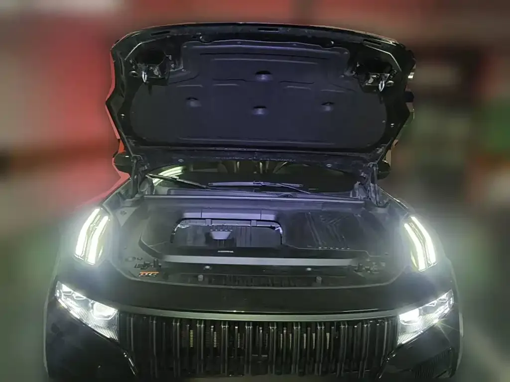 Lynk & Co Lynk & Co 09 EM-P 2021 2.0T PHEV Halo 6-seater — Фото автомобиля 3