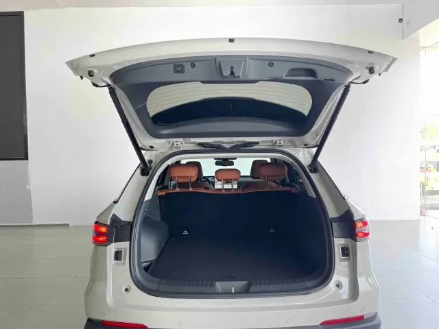 Haval Xiaolong MAX — Фото автомобиля 13