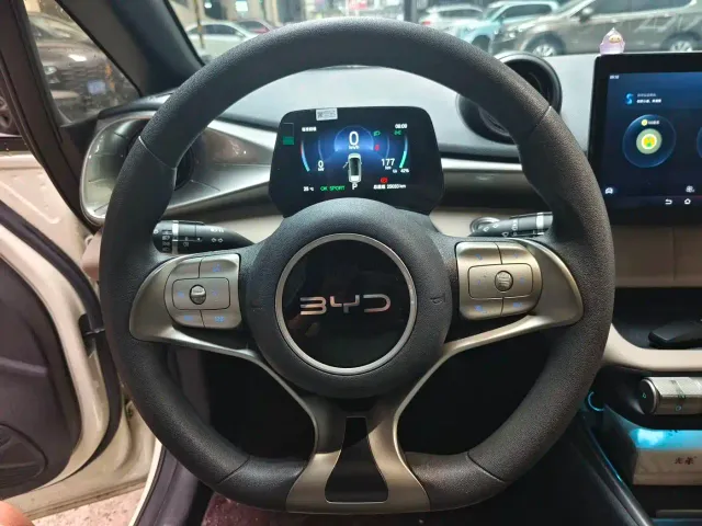 BYD Dolphin — Фото автомобиля 8
