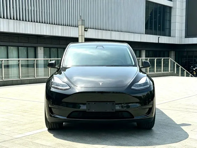 Tesla Model Y — Фото автомобиля 2