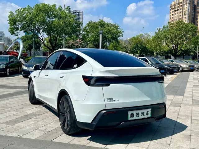 Tesla Model Y — Фото автомобиля 6