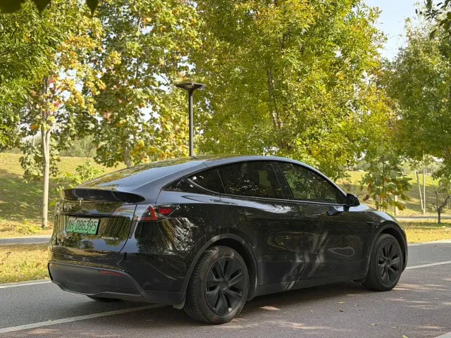 Tesla Model Y — Фото автомобиля 9