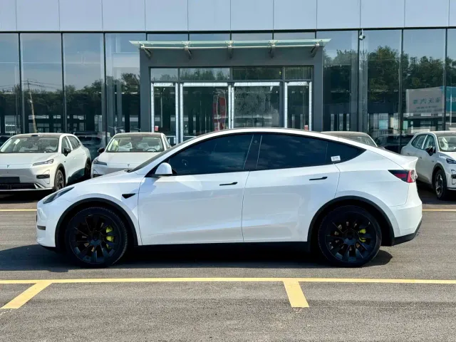 Tesla Model Y — Фото автомобиля 3