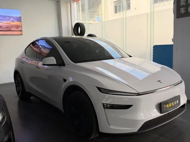 Tesla Model Y — Фото автомобиля 3