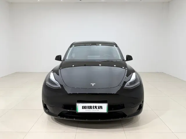 Tesla Model Y — Фото автомобиля 2