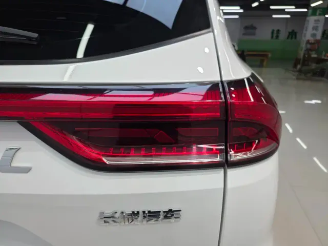 Haval Haval H6 2021 Model National Trend Edition 1.5T Auto Champion — Фото автомобиля 11