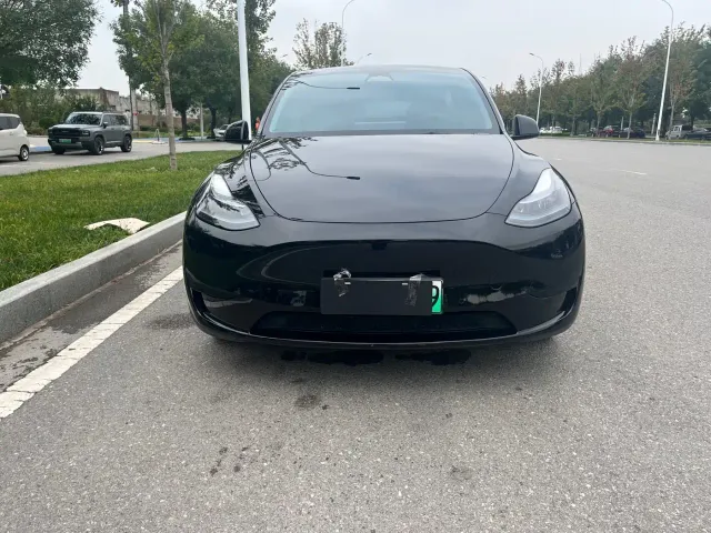 Tesla Model Y — Фото автомобиля 2
