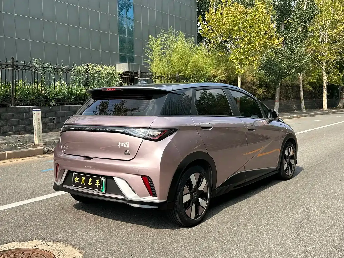 BYD Dolphin 2021 401km Knight Edition — Фото автомобиля 7