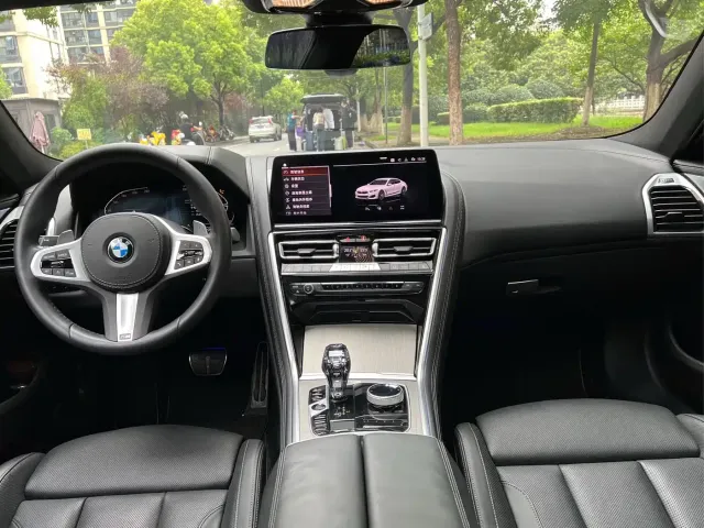 BMW 8 Series — Фото автомобиля 12
