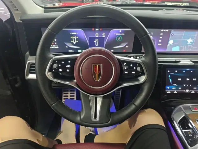 Hongqi E-HS9 — Фото автомобиля 10