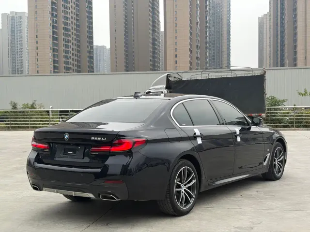BMW 5 Series — Фото автомобиля 6