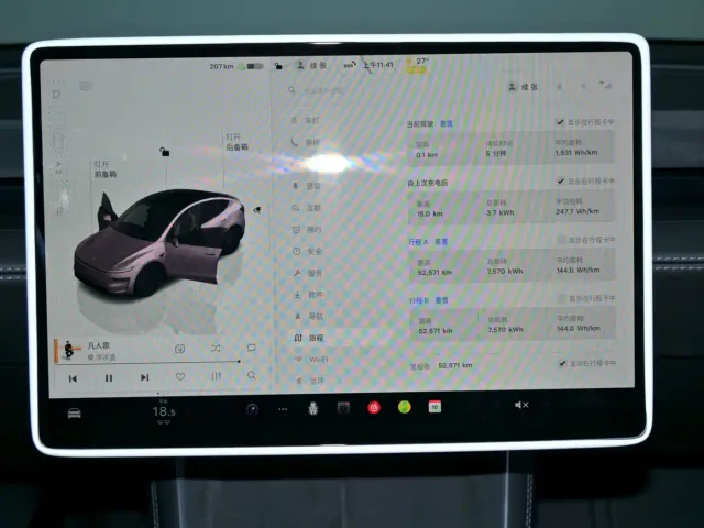 Tesla Model Y — Фото автомобиля 10