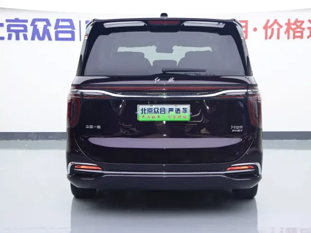Hongqi HQ9 PHEV — Фото автомобиля 25