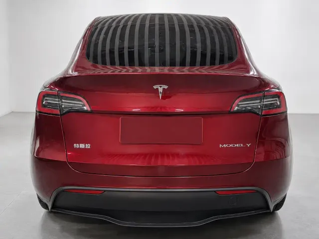 Tesla Model Y — Фото автомобиля 8