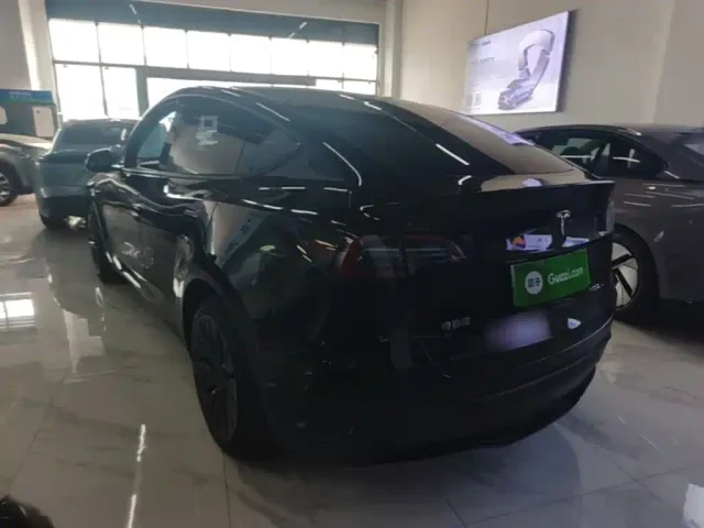 Tesla Model Y — Фото автомобиля 22