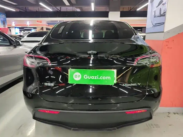 Tesla Model Y — Фото автомобиля 5