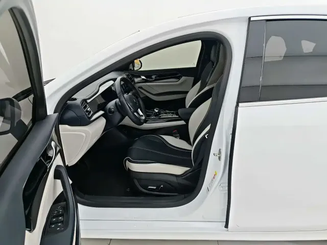 BYD Qin PLUS — Фото автомобиля 11