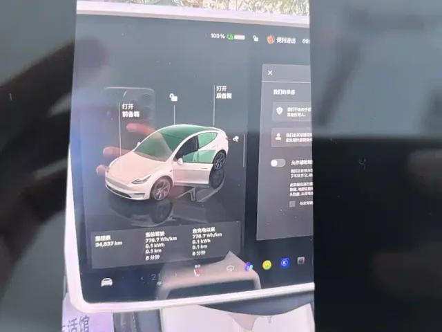 Tesla Model Y — Фото автомобиля 14