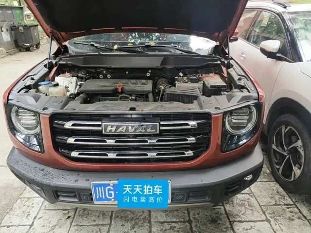 Haval Big Dog — Фото автомобиля 3