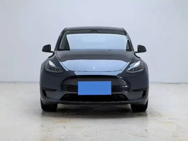 Tesla Model Y — Фото автомобиля 2
