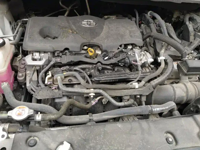 Toyota Sienna — Фото автомобиля 10