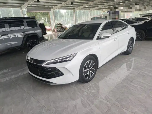 Фотография автомобиля — BYD Qin L