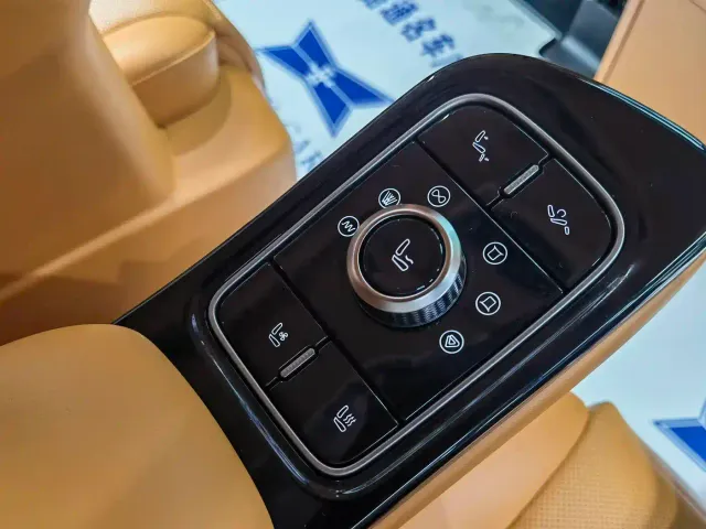 Wey Alpine — Фото автомобиля 21
