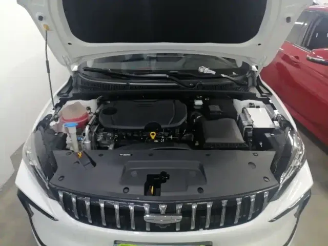Geely Binrui — Фото автомобиля 15