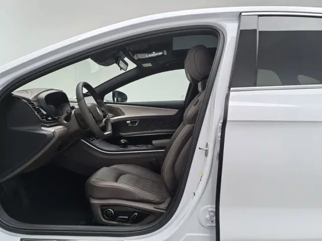 BYD Han — Фото автомобиля 10