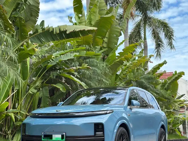 Li Auto L8 — Фото автомобиля 6
