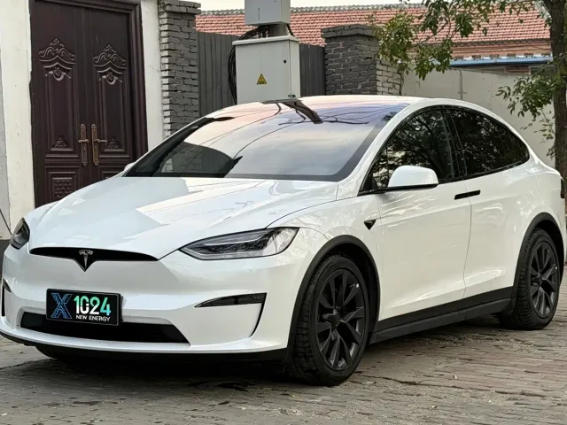 Tesla Model X — Фото автомобиля 11
