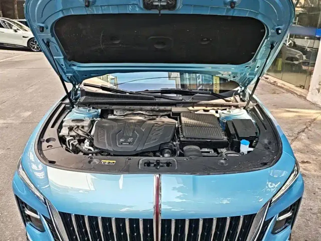 Hongqi Hongqi H5 2023 1.5T HEV Smart Connect Flag Comfort — Фото автомобиля 19