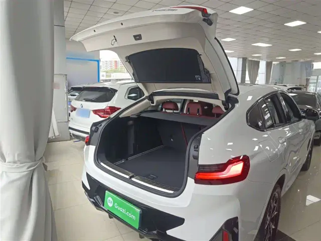 BMW X4 — Фото автомобиля 14