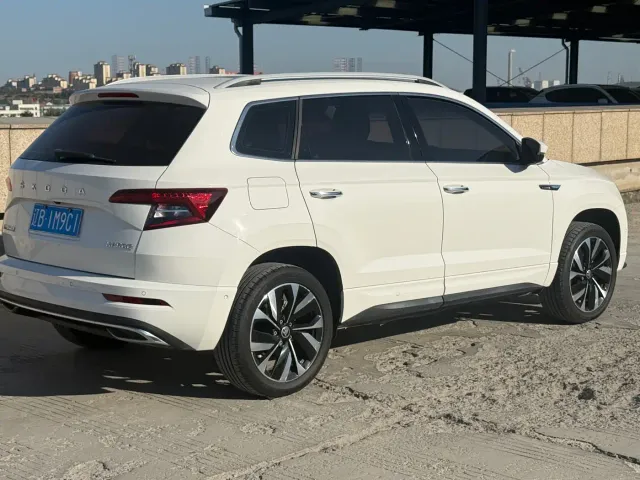 Skoda Karoq — Фото автомобиля 6