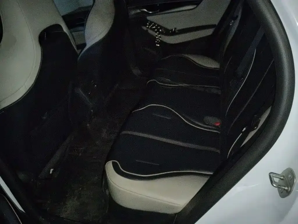 BYD Qin PLUS 2021 DM-i 55KM Flagship — Фото автомобиля 18