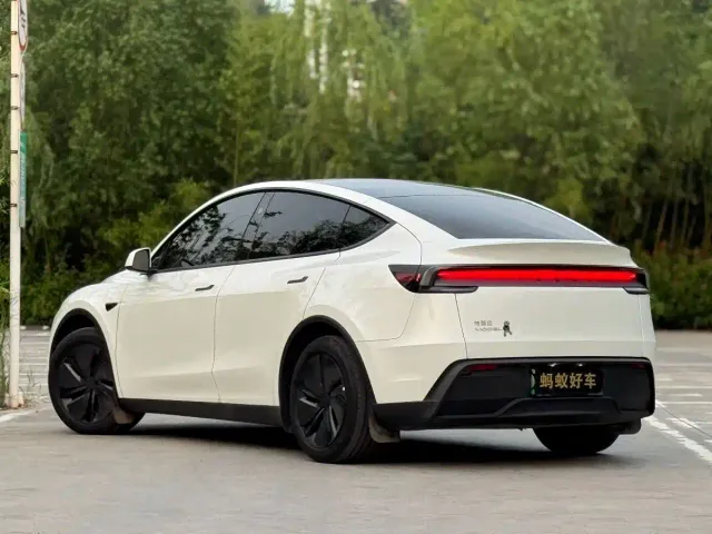 Tesla Model Y — Фото автомобиля 6